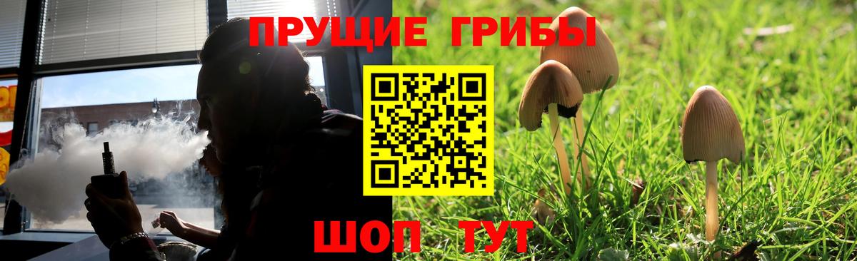 Псилоцибиновые грибы MAGIC MUSHROOMS Сарапул