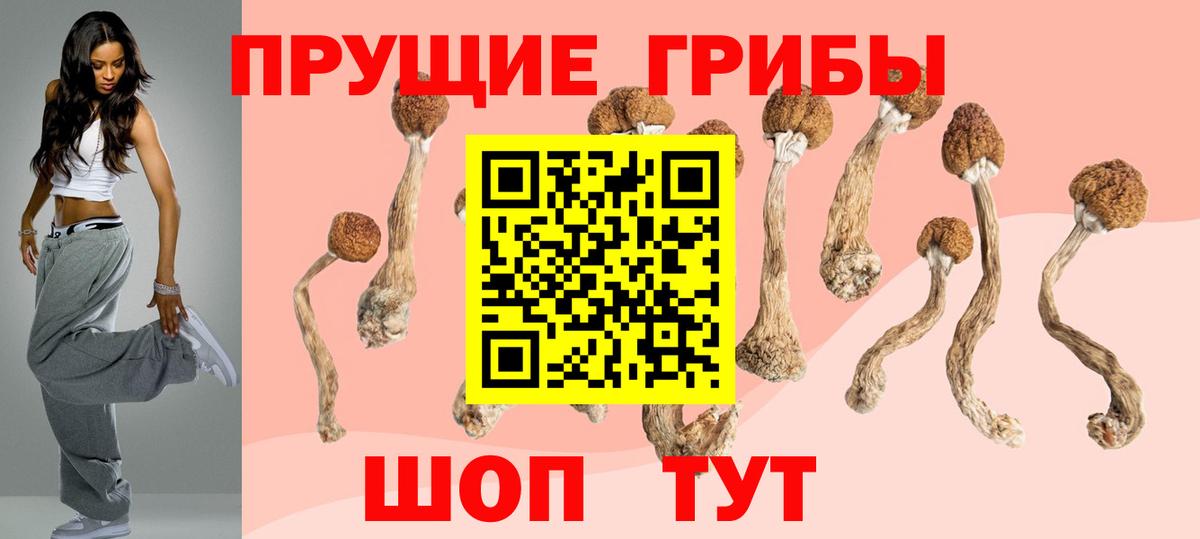 Псилоцибиновые грибы прущие грибы  Псилоцибиновые грибы прущие грибы  Сарапул  Вход с VPN 